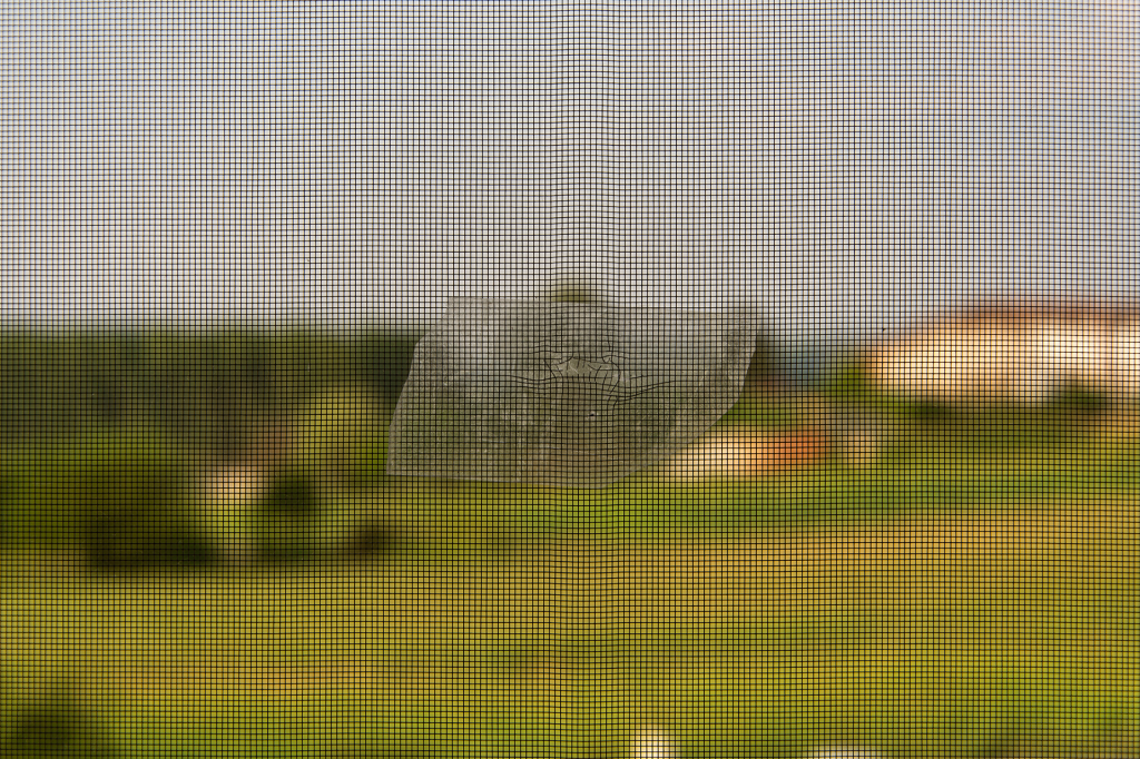 #S3 - Il paesaggio siamo noi, Vincenzo Pisapia, fotografia,2024